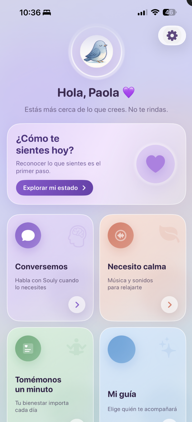 Pantallazo de aplicación familiar Soulnest