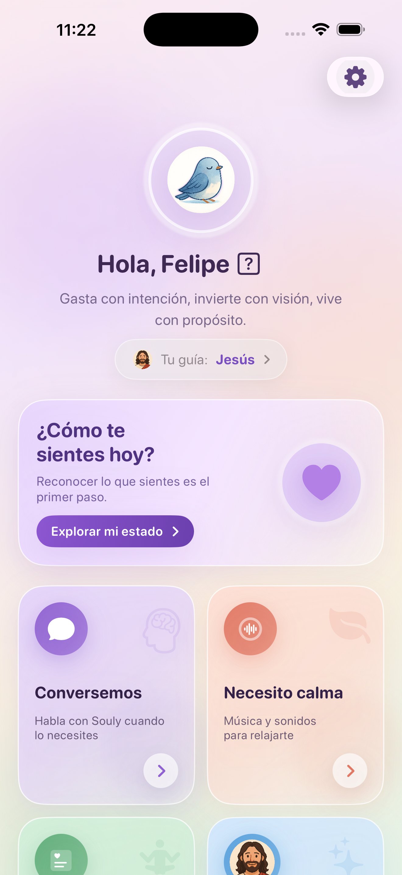 Pantallazo de aplicación familiar Soulnest